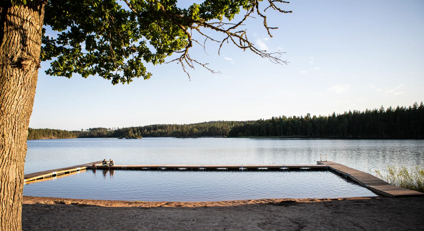 En sjö omgiven av skog.