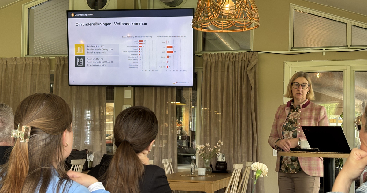 Anna Gillek presenterar undersökningen med powerpoint vid ett lunchmöte.