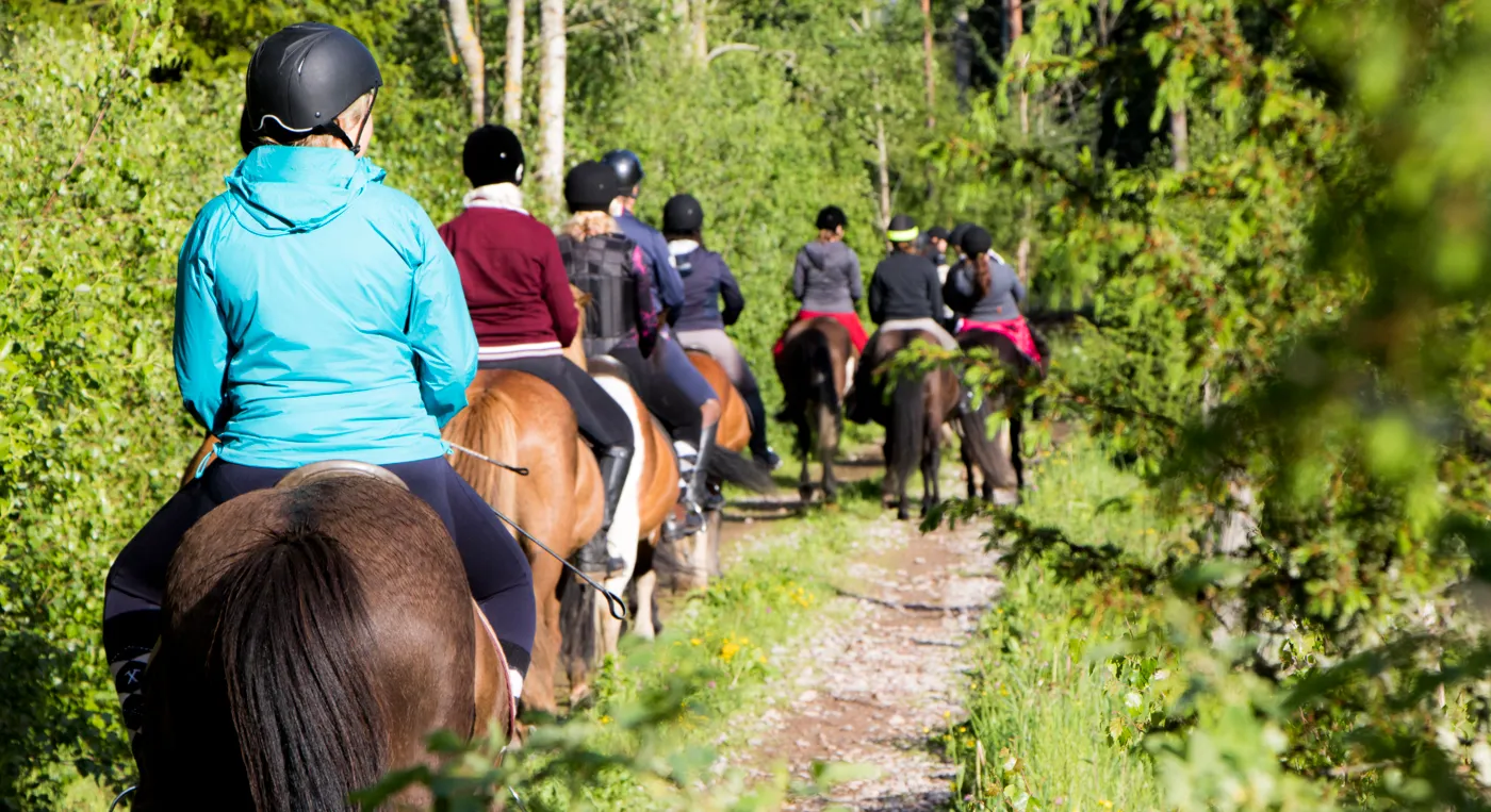 En grupp människor som rider på hästrygg.