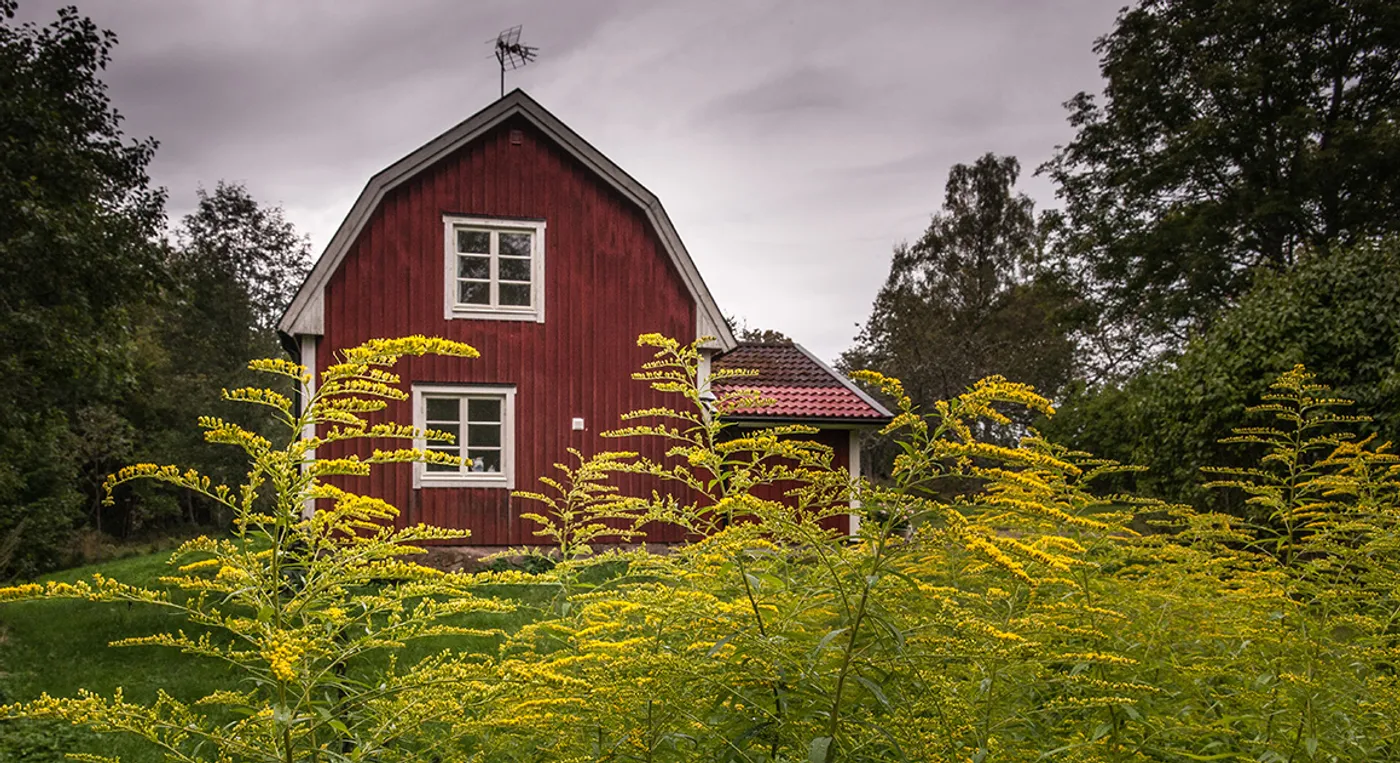 En röd stuga omgiven av gräs och träd.