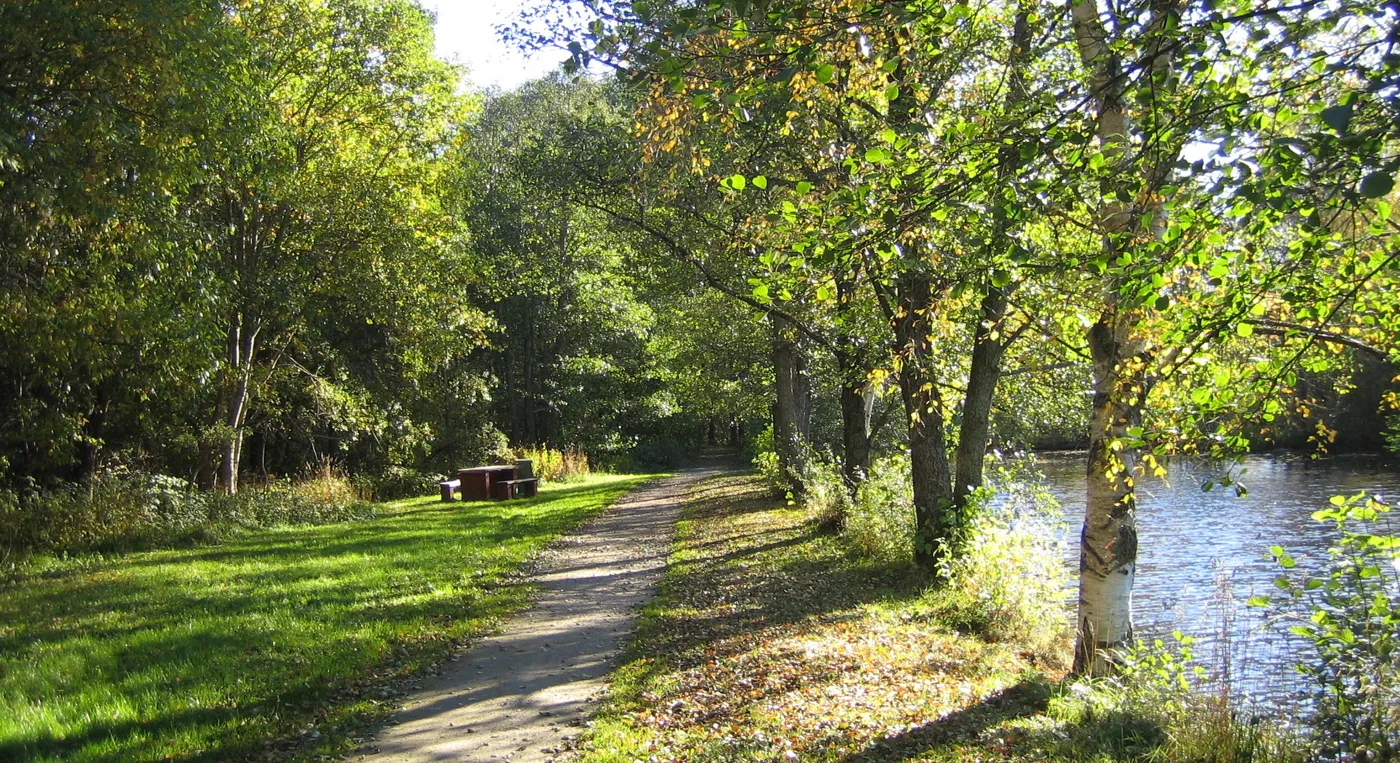 En stig i skogen längs ett vattendrag.