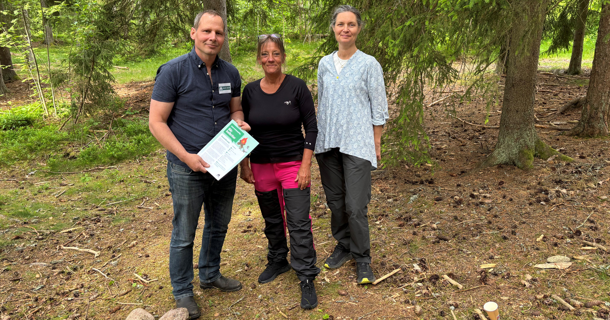 Tre personer, en man och två kvinnor, står mitt i skogen.